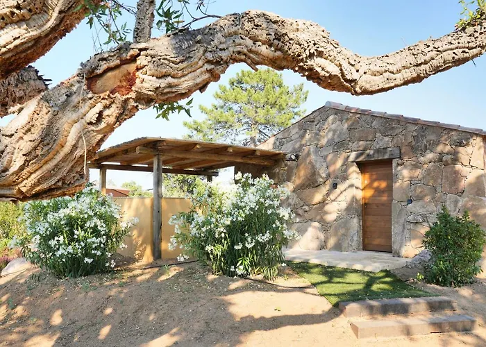 Vista Blu Villa Conca