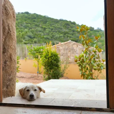 Vista Blu Βίλα Conca