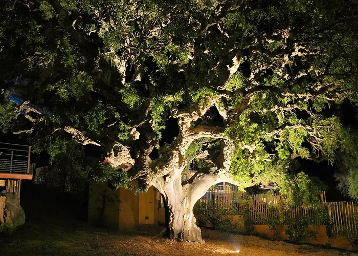 别墅 Vista Blu 孔卡