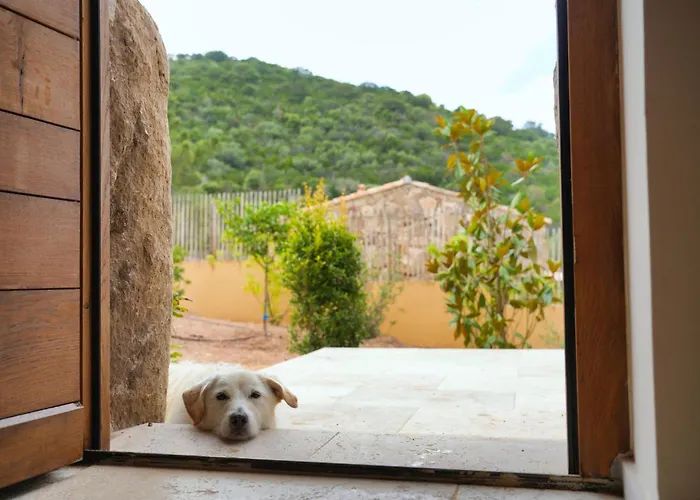 Vista Blu 别墅 孔卡